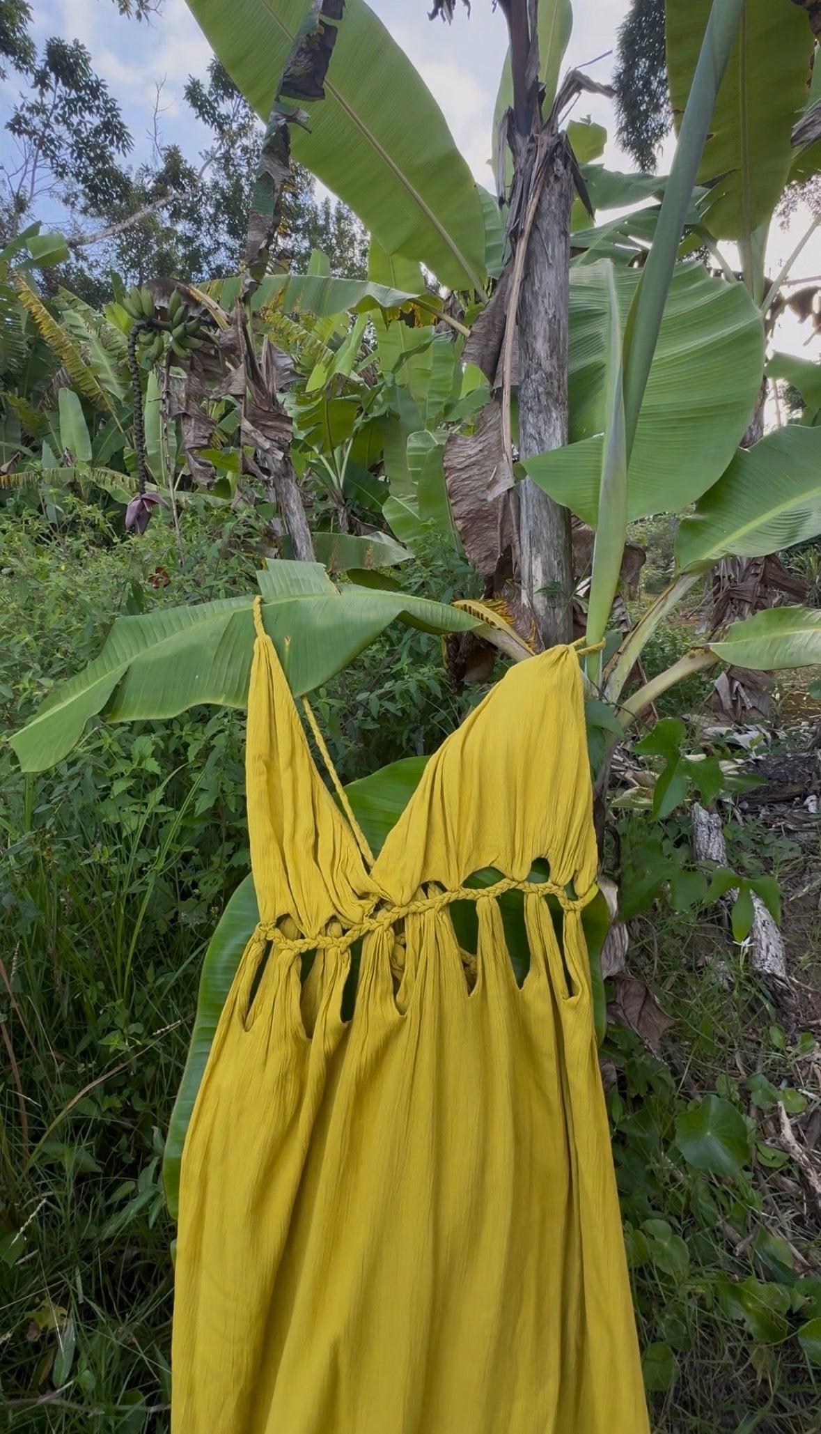 Jaipur Yellow