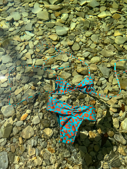 BellaForma Green